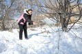 Зимние работы в саду