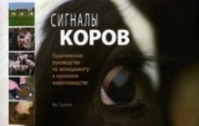 Интервью c известным голландским ветеринаром, автором книги “Cow Signals” Яном Гулсеном